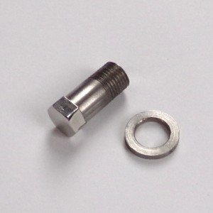 Spodní šroub kluzáku přední vidlice, M10/1, klíč 11 mm, nerez/leštěný, s podložkou, Jawa, ČZ